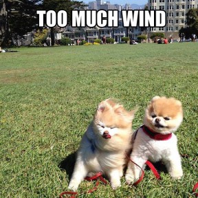 There's never "Too much wind"