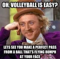 Beach Volleyball Memes